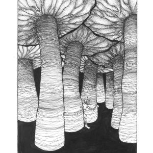 Mushrooms — 9 × 12 Art Print