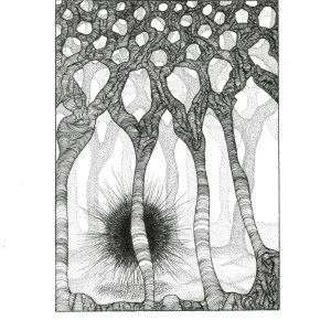 The Thing In The Woods — 9 × 12 Art Print