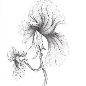 Illustration 34 — 9 × 12 Art Print